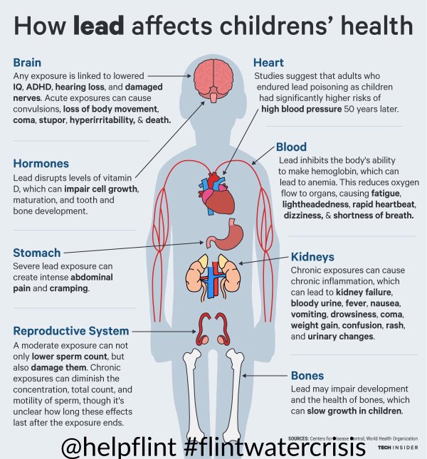 Lead effects in children